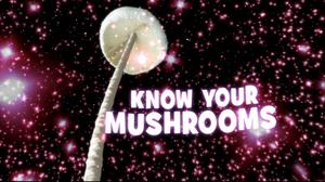 Know Your Mushrooms