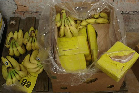 28 Kilo Kokain in Bananenkisten sichergestellt