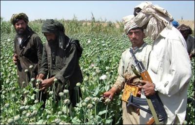 Nato to attack Afghan opium labs