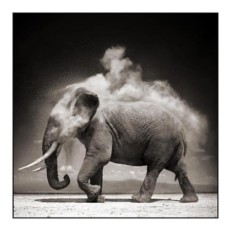 Nick Brandt artwork