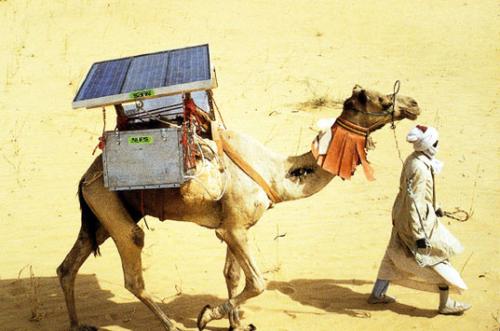 Solar-Powered Camel