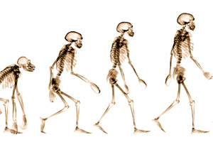 63% - Reject Darwin's Theory of Evolution