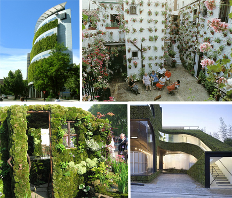 Vertically Vegetated Buildings