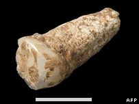 'First west Europe tooth' found