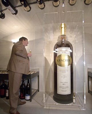 World’s Biggest Bottle of Wine