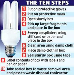 How the UK government deals with a broken light bulb