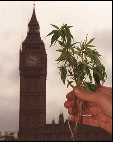 Cannabis law change 'illogical'