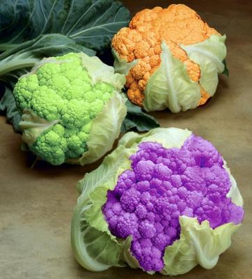 cauliflowers