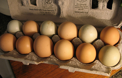 EU to ban selling eggs by dozen