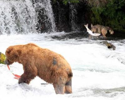 Fishing in Alaska