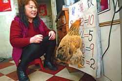 Smart Chinese Hen solves math problems