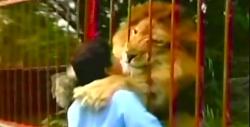 Lion Kisses