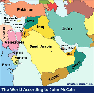 World According to McCain