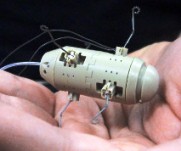 Pollution-seeking miniature leaping robot debuted