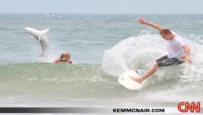 Photograph of jumping shark behind surfers