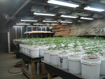 The Great Tennessee Marijuana Cave