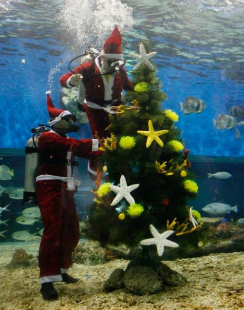 The world's weirdest Christmas trees