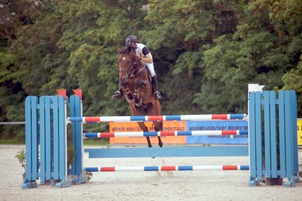 Startschuss beim Equestrian Summer Circuit in Wiener Neustadt