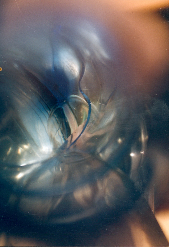 Cellula, 2002&lt;br /&gt;
<br/><br/>
Farbfotografie&lt;br /&gt;
<br/><br/>
70 x 50 xm