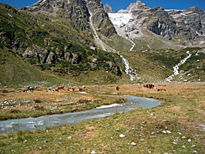 Im Val Lavinuoz gegen Las Maisas und den Vadretsch Maisas