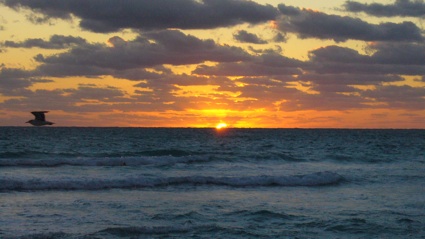 Miami Beach Sunrise