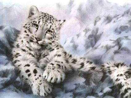 Der Schnee Leopard, N° 10.6