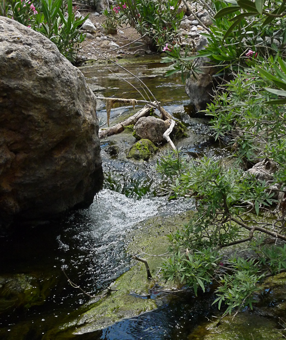 Zakros Gorge, Water