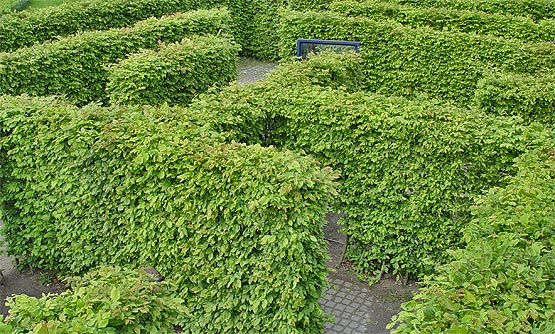 irrgarten