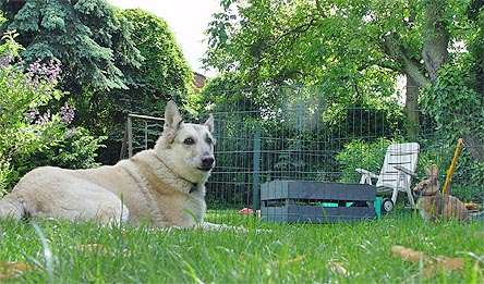 grade eben im garten...