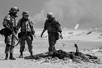 A US Military graves detail buries the bodies of dead Iraqi soldiers killed along the Mile of Death