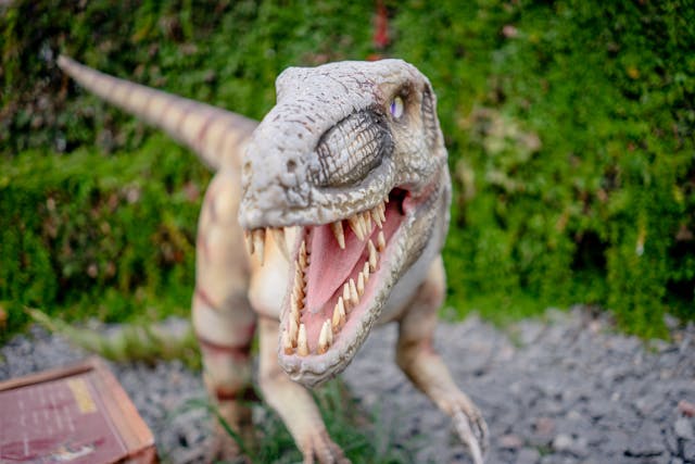 Disrupter Tyrannosaurus Rex Foto von Oleksandr P: https://www.pexels.com/de-de/foto/reptil-figur-raubtier-zahne-12955834/