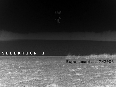 SELEKTION I - Experimental MN2006