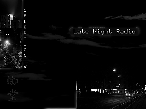 SELEKTION V - Late Night Radio