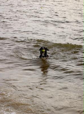 tyler in der elbe