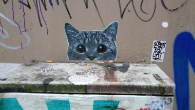 Streetartcat