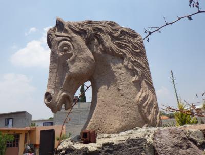 in einem Garten östlich Mexico Stadt