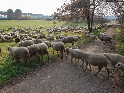 parco degli acquedotti