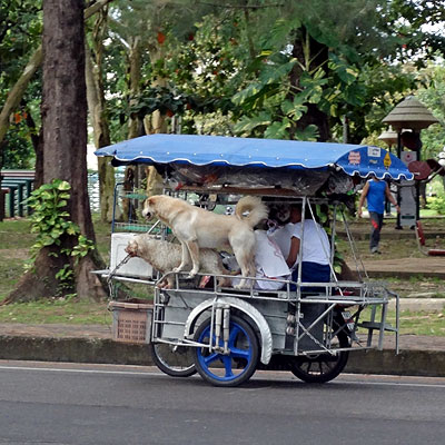 Phuket Road - Saphan Hin - Phuket - Thailand - 13 October 2013 - 7:44