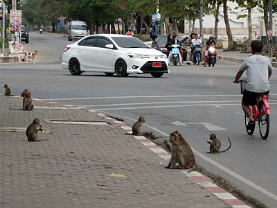 Thanon Khiri Rattaya x Thanon Phetkasame Sai Kao - Khlong Kra Saeng - Petchaburi - Thailand - 23 November 2013 - 6:59