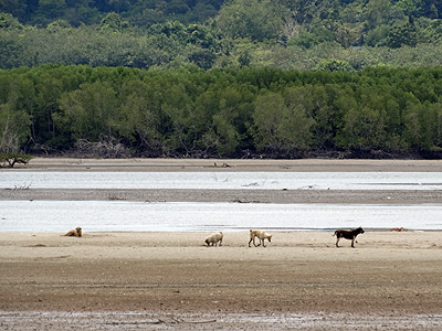 Saphan Hin - Phuket - Thailand - 13 October 2013 - 12:15