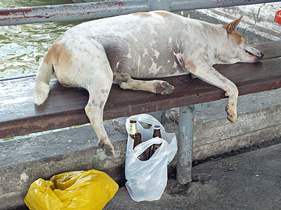 Memory Bridge Pier - Bangkok - 26 April 2012 - 9:19