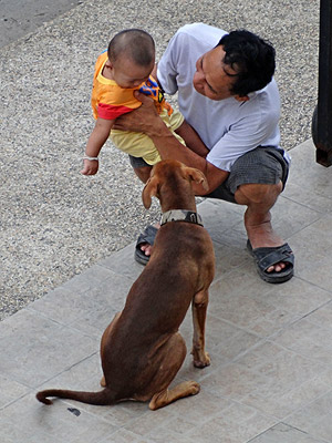 Sukhumvit 105 Lasalle - Soi 33 - Bang Na - Bangkok - 23 May 2013 - 17:21