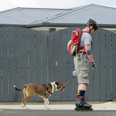 Carlisle Road - Northcross - Auckland - New Zealand - 6 December 2015 - 9:46