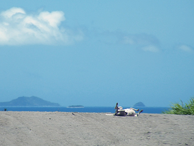 Lautoka - Fiji Islands - 14 October 2009