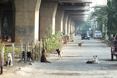 Ram Inthra-At Narong Expressway - Soi Mi Suwan 3 - Watthana - Bangkok - 11 February 2013 - 8:34 