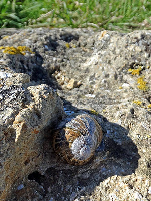 Okaihau Road - Waimarama - Hastings District - New Zealand - 28 April 2014 - 12:26