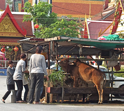 Wat Bang Na Nai - Soi Sanphawut 1 - Bang Na - Bangkok - 12 February 2013 - 9:05