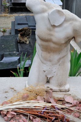 Friedhof Montmartre, Paris