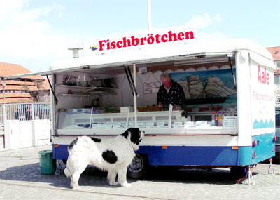 Herr Gonzales in Ermangelung eines erreichbaren Bratwurststandes.