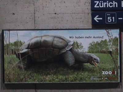 zoo zürich